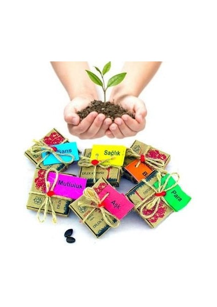 Dilek Tohumları - Başarı fiyatları