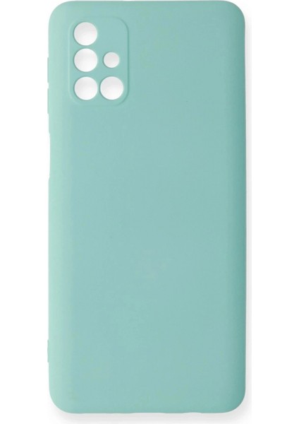 Samsung Galaxy M31S Kılıf Nano Içi Kadife Silikon Uaz (K95)