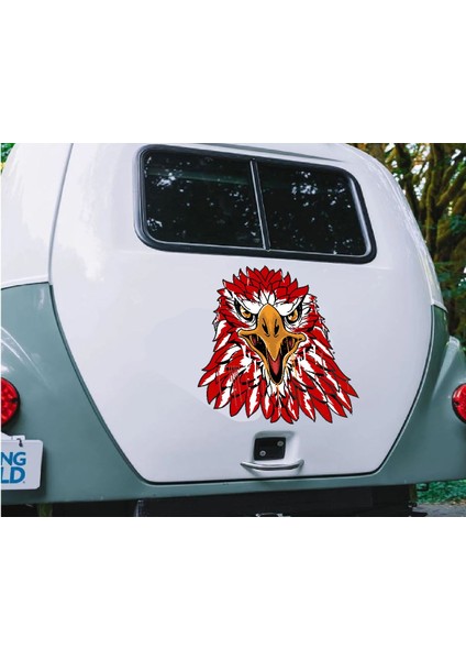 Türk Kartalı Sticker, Kartal Başı, Kırmızı Beyaz Kartal Sticker, Beşiktaş Sticker 00944 modelleri