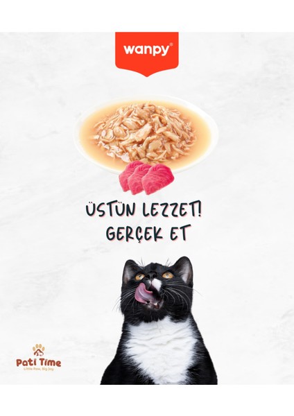 12LI Yetişkin Kedi Yaş Maması Ton Balıklı Premium Kalite 12 x 70 gr modelleri