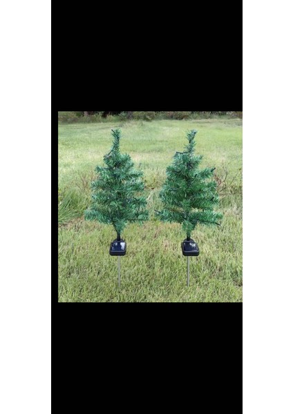 Solar Dekoratif Çam Ağacı modelleri