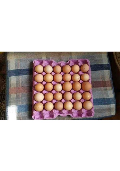Köy Yumurtası 30’lu fiyatları