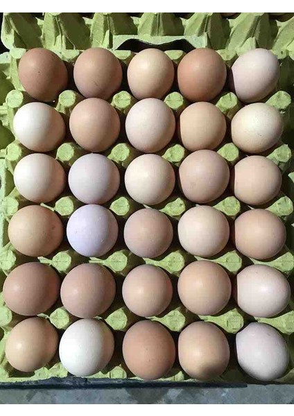 Köy Yumurtası 30’lu fırsatları