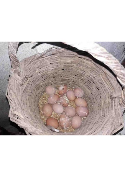 Köy Yumurtası 30’lu indirimleri