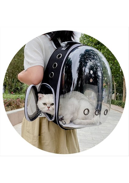 Taşıma Çantası Uzay Pet Sırt Çantası Nefes Alabilir Taşınabilir Taşınabilir Sırt Çantası Köpek Taşıma Taşıyıcı Uzay Kapsül Çanta D (Yurt Dışından) modelleri