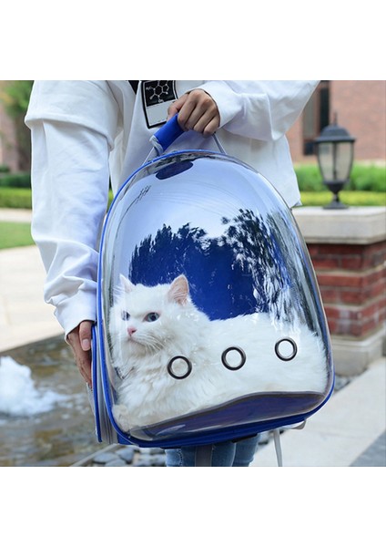 Taşıma Çantası Uzay Pet Sırt Çantası Nefes Alabilir Taşınabilir Taşınabilir Sırt Çantası Köpek Taşıma Taşıyıcı Uzay Kapsül Çanta D (Yurt Dışından) fırsatları