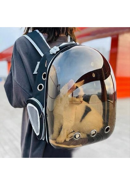 Taşıma Çantası Uzay Pet Sırt Çantası Nefes Alabilir Taşınabilir Taşınabilir Sırt Çantası Köpek Taşıma Taşıyıcı Uzay Kapsül Çanta D (Yurt Dışından) indirimleri