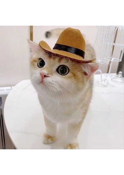 Pet Köpek Kovboy Şapkası Cosplay Cap Puppy Pet Cat Dog Tatil Kostümü Pet Partisi Dekorasyon (Yurt Dışından) indirimleri