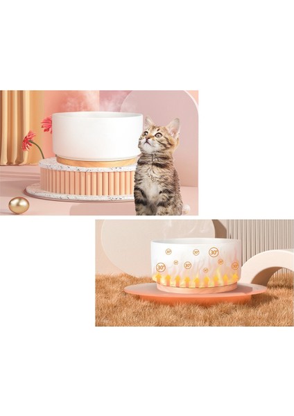 Pet Isıtma Kaseleri Akıllı Termostatik Seramik Yavrular Evcil Köpek Kedileri Gıda Su Yalıtım Kaseleri Gıda Konteyner Kafesi (Yurt Dışından) fiyatları