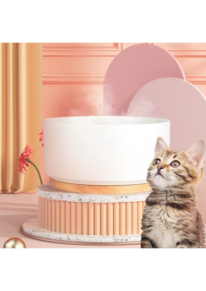 Pet Isıtma Kaseleri Akıllı Termostatik Seramik Yavrular Evcil Köpek Kedileri Gıda Su Yalıtım Kaseleri Gıda Konteyner Kafesi (Yurt Dışından) fırsatları