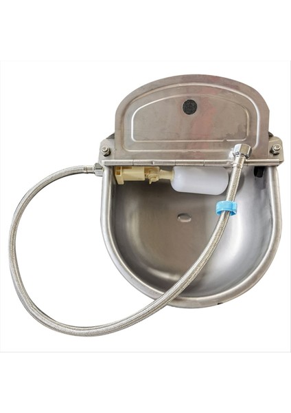 Şamandıra Valfi ile Otomatik Hayvan Içme Kasesi, Hızlı Konektör Adaptör Inek Içme Kasesi Şamandıra Tipi Içme Çeşmesi (Yurt Dışından)