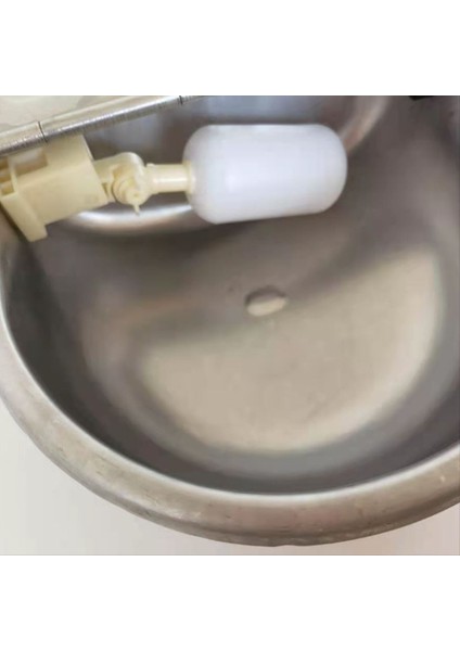 Şamandıra Valfi ile Otomatik Hayvan Içme Kasesi, Hızlı Konektör Adaptör Inek Içme Kasesi Şamandıra Tipi Içme Çeşmesi (Yurt Dışından) modelleri