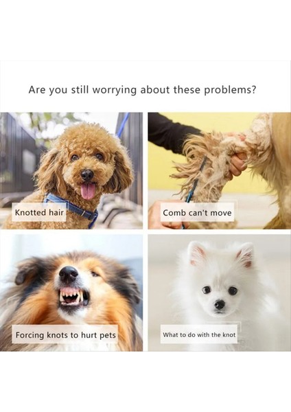 Evcil Hayvan Tarak Açık Düğüm Tırmık Bıçağı Tarak Köpek Saç Fırçası Tımar Malzemeleri Kediler Yavru Saç Sökücü Evcil Hayvan Bakım Malzemeleri Turuncu (Yurt Dışından) fırsatları