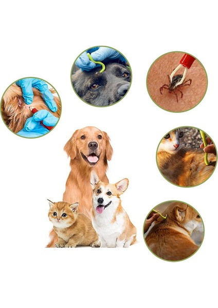 Köpekler, Kediler, Çocuklar, 3 Set, Kene Kancaları ve 2 Set, Kene Cımbızları, Kolay ve Güvenli Kene Çıkarıcı (Yurt Dışından) modelleri