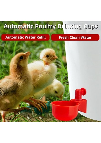 Tavuk Su Bardağı, Kümes Hayvanları Için Otomatik Tavuk Sucu Kiti, Tavuk Için Su Kümes Hayvanları Içme Kasesi (Yurt Dışından) indirimleri