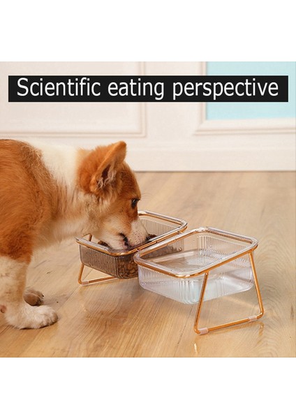 Pet Çift Kase Şeffaf Ayak Kedi Kase Içecek Su Kedi Maması Stand Yükseltilmiş Su Besleyici Köpek Kasesi Malzemeleri (Yurt Dışından) indirimleri