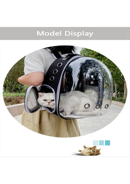 Taşıma Çantası Uzay Pet Sırt Çantası Nefes Alabilir Taşınabilir Taşınabilir Sırt Çantası Köpek Taşıma Taşıyıcı Uzay Kapsül Çantası C C (Yurt Dışından) fiyatları