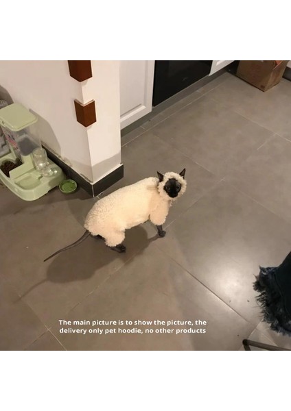 Sevimli Tüysüz Kedi Kıyafetleri, Kedinizi Bir Koyun Evcil Hayvan Süveteri Koyun Tasarım Evcil Kıyafetler Evcil Hayvan Kapşak M (Yurt Dışından) fiyatları