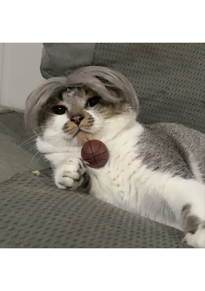 Evcil Hayvan Perukları, Rol Yapma Sahne, Komik Köpek ve Kedi Çapraz Giyinme, Saç Şapkaları, Kostümler, Kafa Aksesuarları, Evcil Hayvan Malzemeleri B (Yurt Dışından) fırsatları