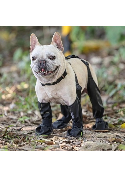 Köpek Ayakkabıları Su Geçirmez Kirli Köpek Koruma Koruyucuları ile Sırıştırıcılarla Kış Kar Dış Mekan, M Slip Donan Düğüm Köpek, M (Yurt Dışından)