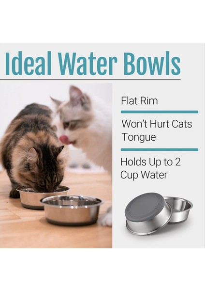 Paslanmaz Çelik Pet Bowl Köpek Kemik Evcil Pet Serpeği Sofra Takımları Slip Olmayan Kediler Kase Içme Su Köpek Havzası Köpek Kaseleri (M) (Yurt Dışından) modelleri