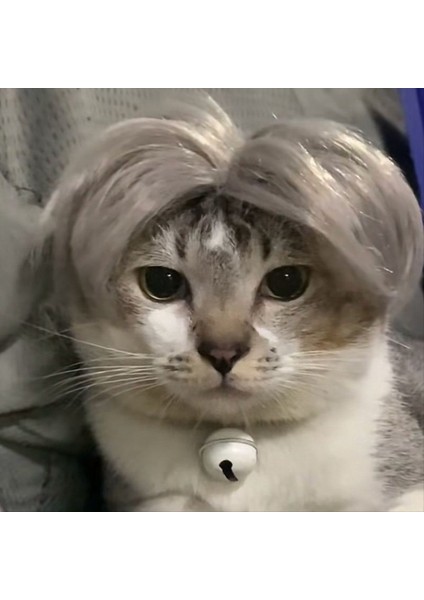 B Pet Wıgs Cosplay Props Komik Köpek Kedileri Çapraz Giyinme Saç Şapkası Kostümleri Halloween Evcil Hayvan Malzemeleri Için Baş Aksesuarlar (Yurt Dışından) modelleri