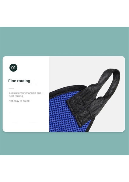 ve Tırnak Kırpma Evcil Hayvan Tımar Hamak Küçük ve Orta Boy Kediler ve Sabit Asma Yardımcı Yıkama Torbası (Yurt Dışından) indirimleri