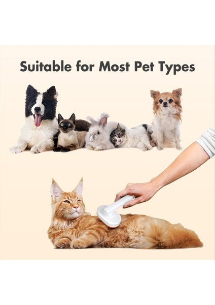 Kedi Saç Fırçası, Kapalı Kediler Için Kedi Fırçaları Tımar ve Dökülme, Kısa ve Uzun Saçlı Kediler Için Kendini Temizleme Fırçası (Yurt Dışından) indirimleri