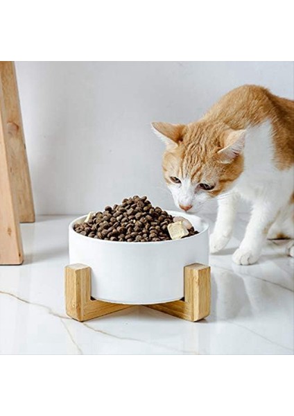 Seramik Yuvarlak Dog-Cat Kase Ahşap Stand, Dayanıklı Gıda Su Yemek Evcil Hayvan, Standlı Kase, Food Water Kase Seta (Yurt Dışından) fırsatları