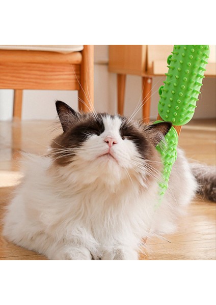 Pet Epilasyon Masaj Tarak Kedileri Kırpma Sürtünme Fırçası Yavru Kedi Tımar Kendi Temizlik Duvar Köşesi Kedi Kazan C C (Yurt Dışından) fırsatları