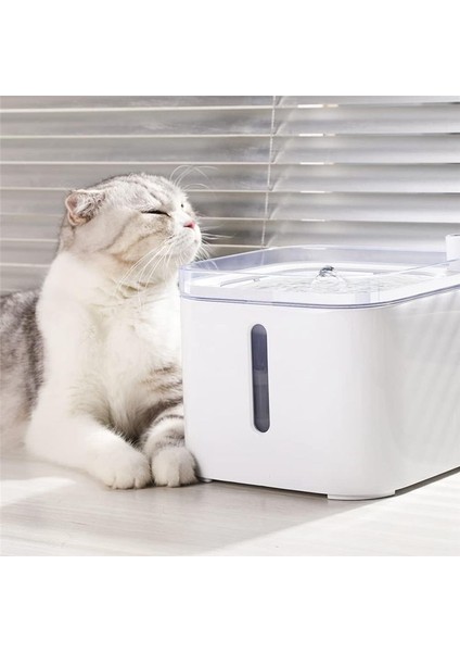 5 Adet Evcil Su Dağıtıcı 3 Kuşak Akıllı Su Dağıtıcısı Için Kartuşlar (Yurt Dışından) modelleri