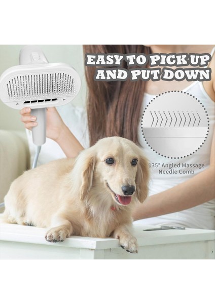 Evcil Hayvan Kurutma Makinesi ve Fırça, 3 Üfleme Modu, Düşük Gürültü- Evcil Hayvan Bakım Için Köpek Kurutma Makinesi, Küçük ve Orta Köpekler/kediler Abd Fiş (Yurt Dışından) fırsatları