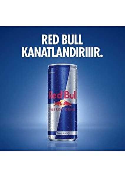 Enerji İçeceği 250 ml 12 Adet Canlandırıcı Kafein ve Taurin İçerir fırsatları