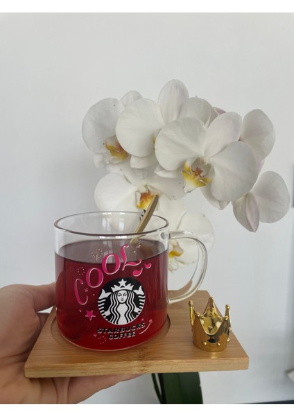 Starbucks Figürlü Cam Kupa cool-kahve bardağı-Starbucks fincanı indirimleri