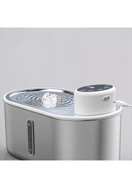 Paslanmaz Çelik Köpek Su Çeşmesi Köpek ve Kediler Için Pet Su Çeşmeleri 3l Su Kasesi Dispenser W/filtre Içme Kaseleri (Yurt Dışından) modelleri