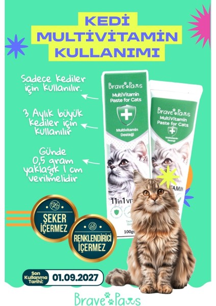 Multivitamin Paste For Cats – Bağışıklık ve Enerji Günlük Vitamin Desteği 100 gr
