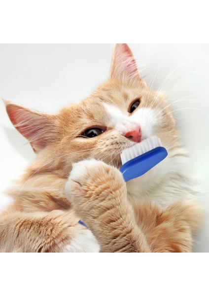 50 Adet Kedi Köpek Evcil Diş Fırçası Seti Çift Başlık Güvenli Köpek Katı Diş Bakımı Için Uygun Diş Parmak Fırçaları (Yurt Dışından) fırsatları