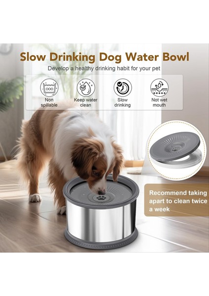 6.5l Köpek Su Kasesi 1.6 Galon Süper Büyük Kapasite Dökülme Köpek Su Kasesi, Paslanmaz Çelik Dökme Kanıtı Su Besleyici (C) (Yurt Dışından) modelleri