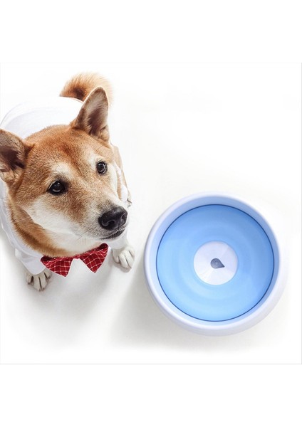 Köpek Için Dökülme Su Kasesi Yok, Yavaş Besleyici Tabak Köpek Besleyici Evcil Hayvan Yavaş Besleyici Kase Içme Besleyici Köpek Su Kasesi B (Yurt Dışından) indirimleri