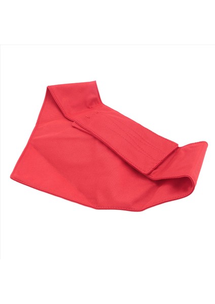 Köpek Smokin, Papyon ile Resmi Köpek Düğün Yaka, Köpek Doğum Günü Kostümü Evcil Hayvan Partisi, Köpek Sevgililer Kıyafeti Cosplay, L Kırmızı (Yurt Dışından) modelleri