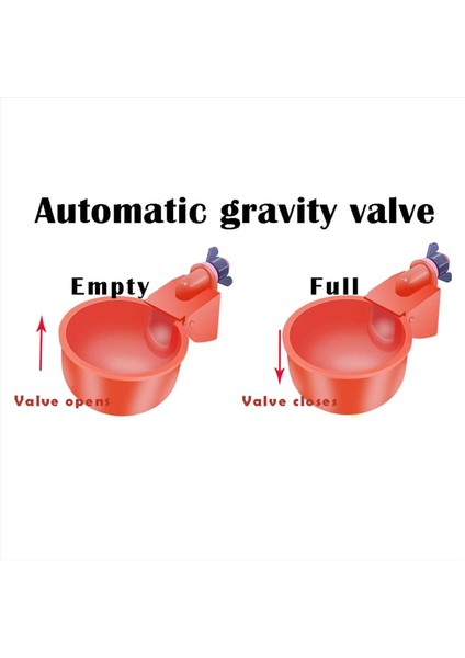 16 Paket Otomatik Tavuk Waterer Cups Kümes Hayvanları Sulu Kümes Hayvanları Su Besleyici Tavuk Su Bardakları Matkap Ucu ile (Yurt Dışından) fiyatları