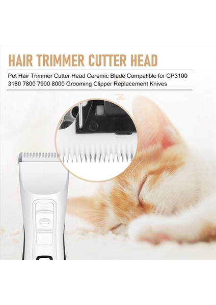 Pet Saç Döşeme Kesici Kafa Seramik Bıçağı CP3100 3180 7800 7900 8000 Tımar Clipper Yedek Bıçak (Yurt Dışından) fırsatları