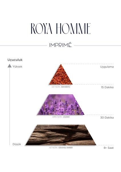 Roya Homme Edp Erkek Parfüm 50ML | Kırmızı Biber, Lavanta, Kaledonya Sandal Ağacı, Amber modelleri