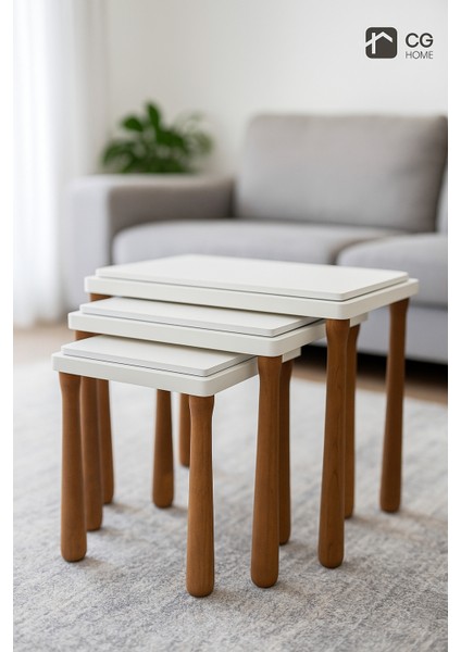 alvin Zigon Sehpa Üçlü Lüx Ağaç Lake Boyalı Sehpa