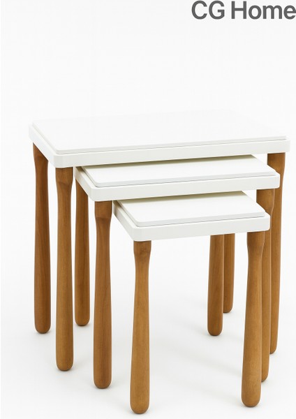 alvin Zigon Sehpa Üçlü Lüx Ağaç Lake Boyalı Sehpa fiyatları