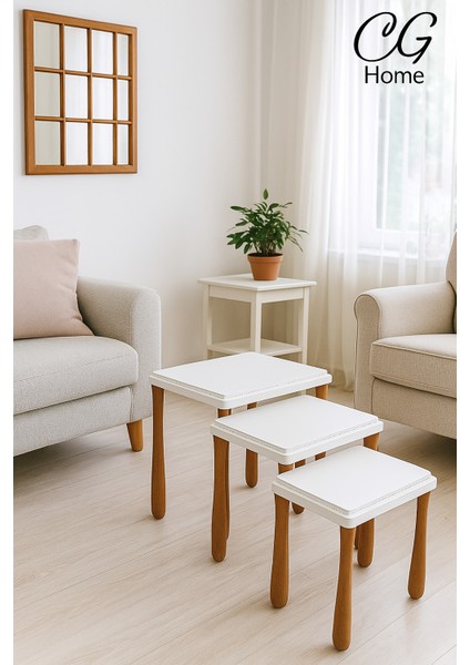 alvin Zigon Sehpa Üçlü Lüx Ağaç Lake Boyalı Sehpa