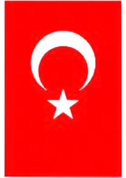 4 Adet Bayrak 50*75 fiyatları