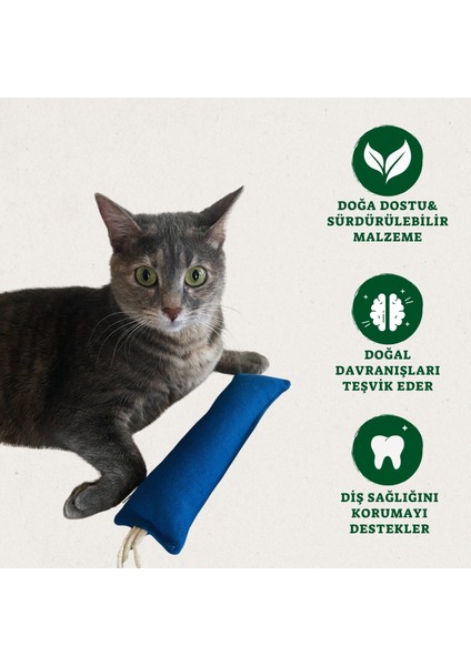 Hışırtılı Yastık Kedi Oyuncağı- Kedi Naneli, Doğa Dostu ve Pamuklu modelleri