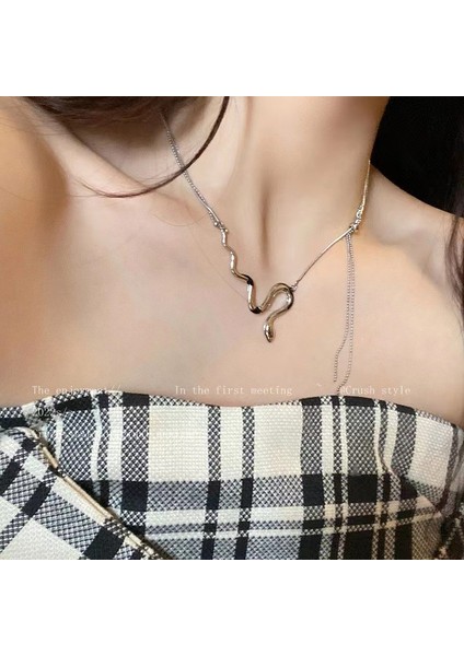 Yeni Kolye Kadın Niş Aksesuarları Baharatlı Kız Tatlı Serin Köprücük Kemiği Zinciri Kazak Kazak Zinciri Yüz Üst Düzey Süslemeler Duygusu ile (Yurt Dışından)