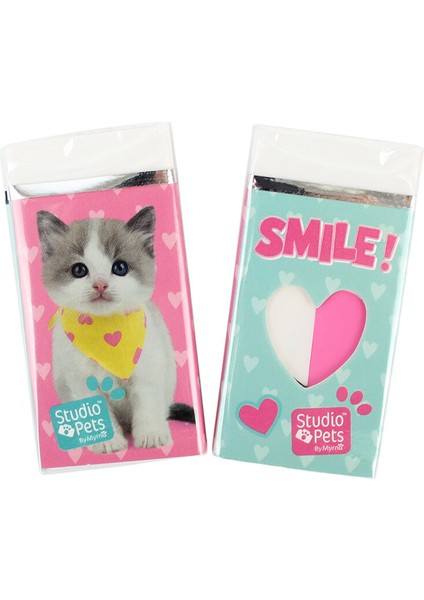 4 Adet Studio Pets Silgi PT-131 fiyatları